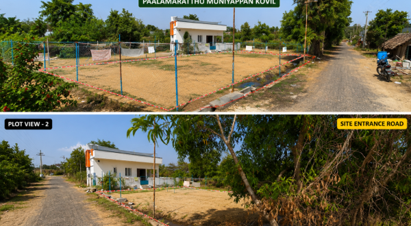 6. plots view